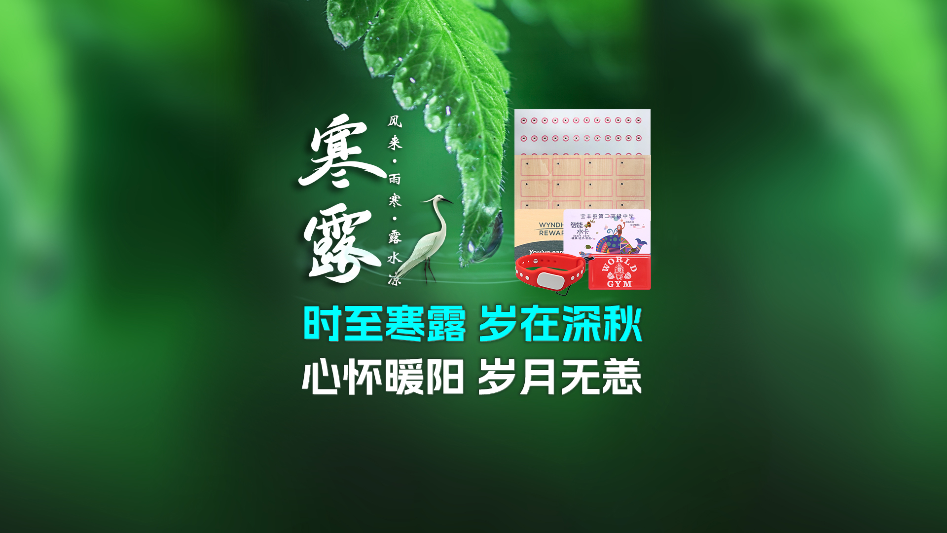 寒露至秋意濃，卡立方集團(tuán)攜RFID智能卡中料木卡腕帶伴您暖度深秋